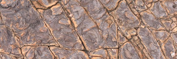 amoeaba Profile Banner