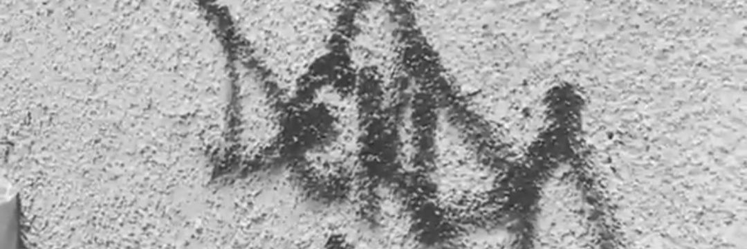 eyypunal's profile banner image
