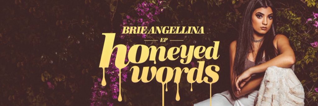 BriesPromo's profile banner image