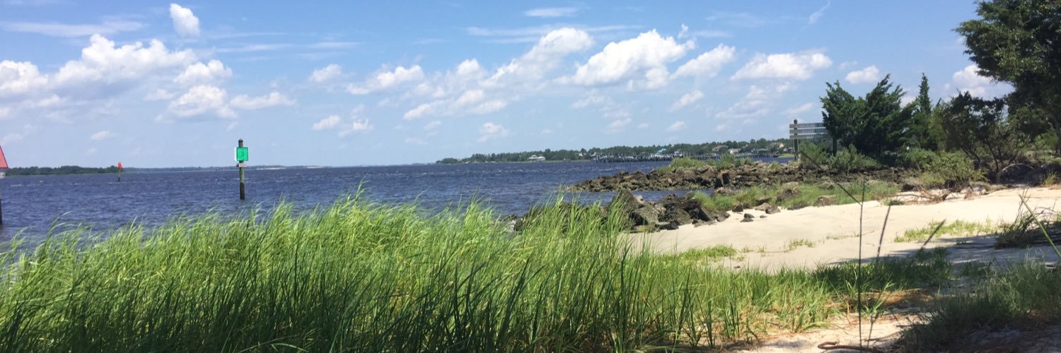 laurenALERT's profile banner image