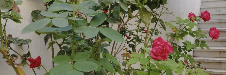 Marper4's profile banner image