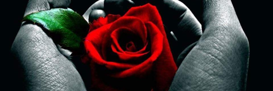 Chantell2471's profile banner image