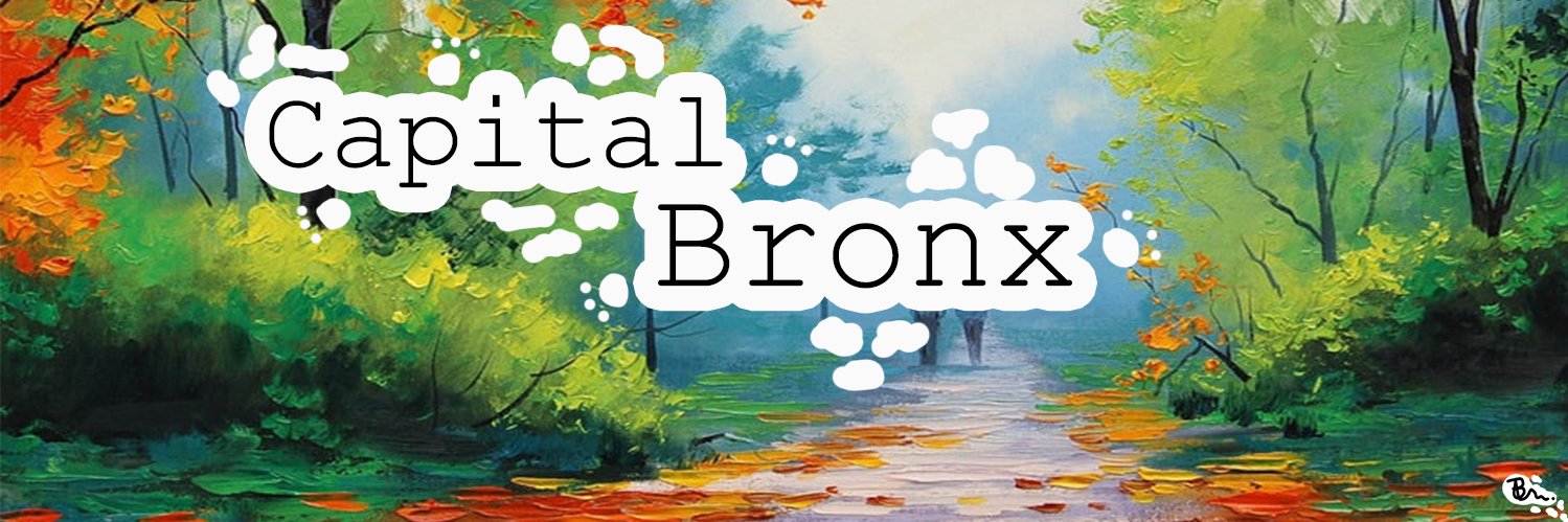 CapitalBronx's profile banner image
