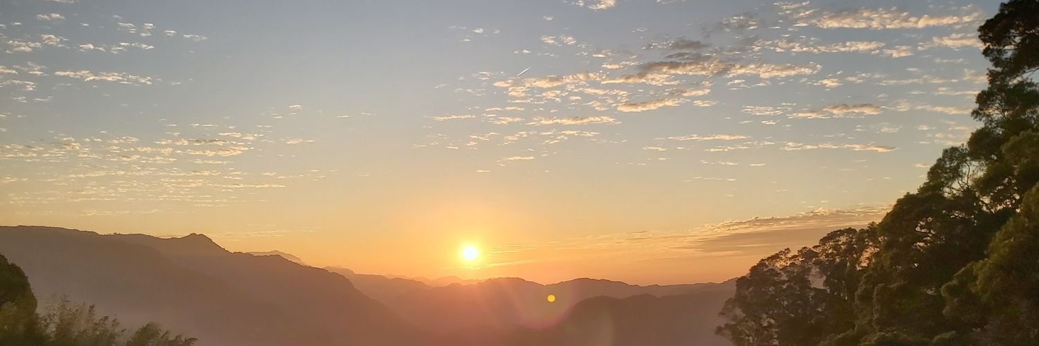 anushatylee's profile banner image
