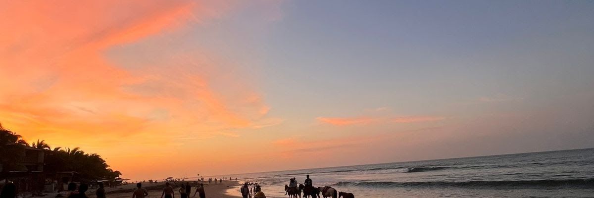 bbtbmsch8's profile banner image
