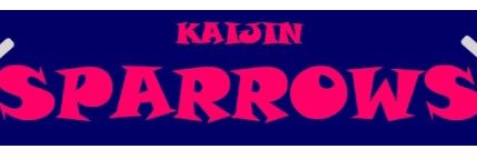 kaispa2016's profile banner image
