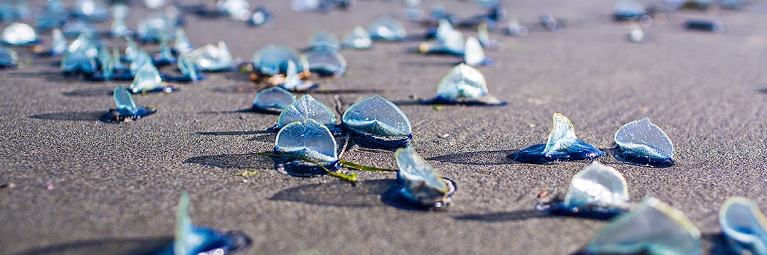 DerekFordPhoto's profile banner image