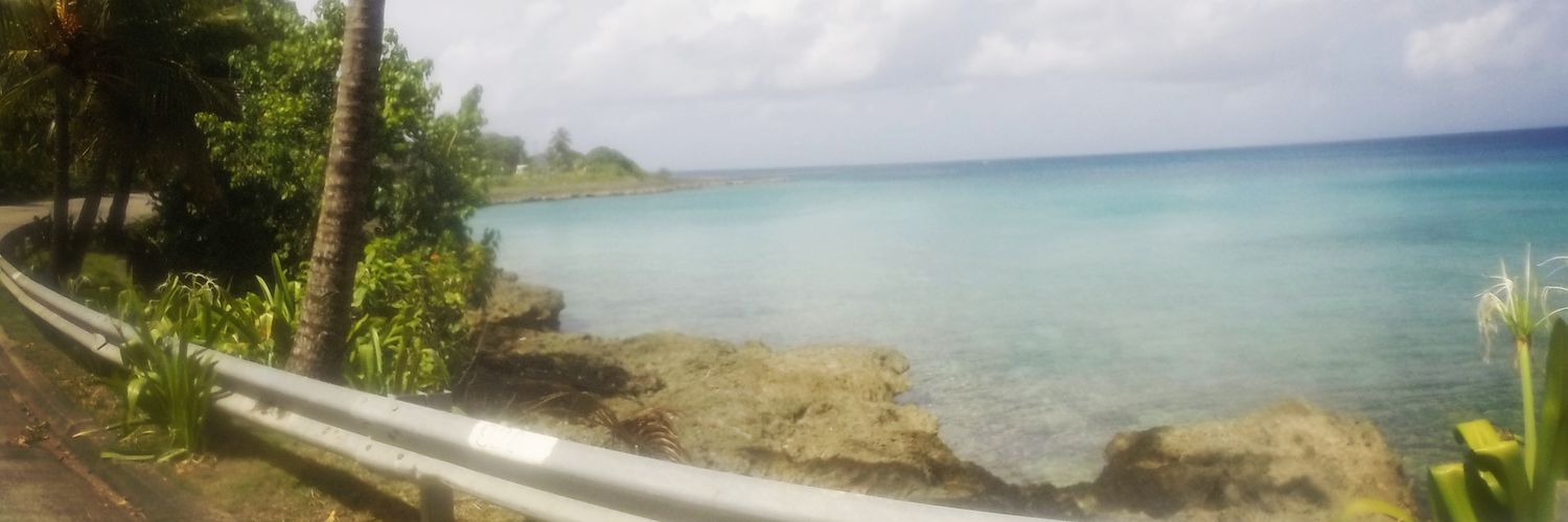 shushukap's profile banner image