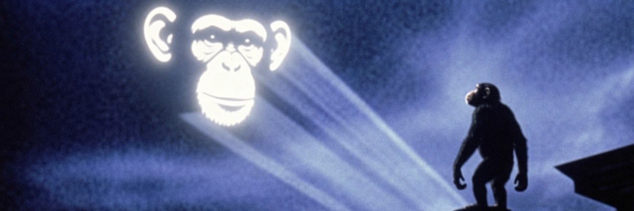 Chimp banner