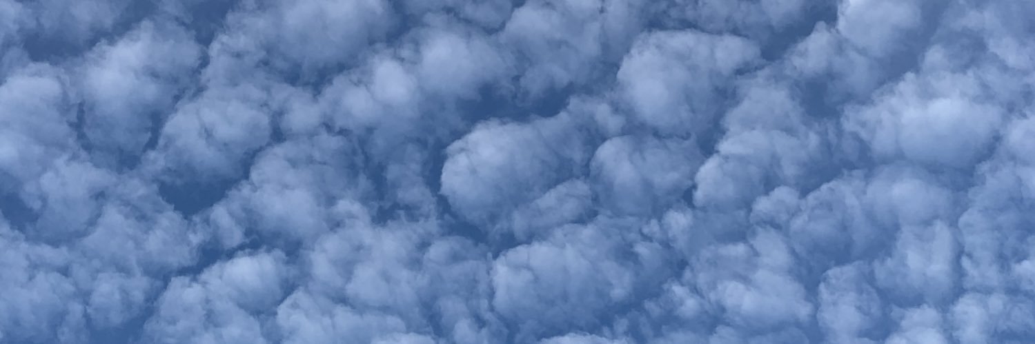 ptrctlsn's profile banner image