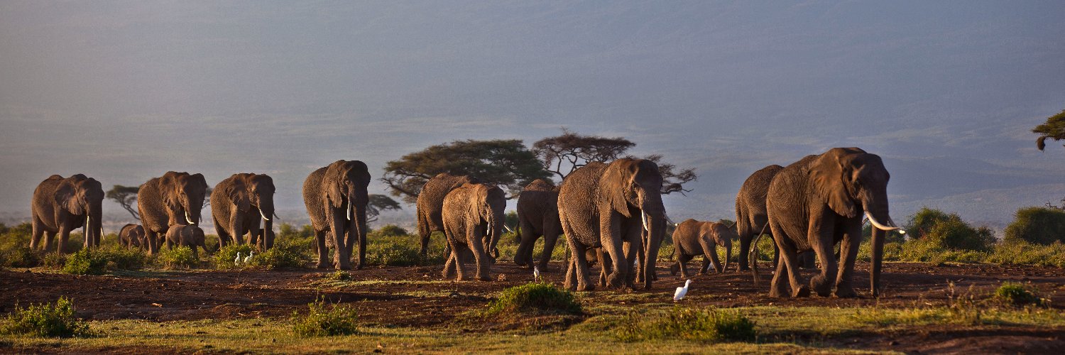 ARCOS Network banner