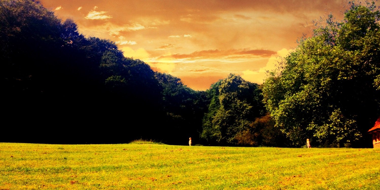 rabbitstu23's profile banner image
