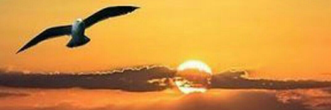 tuti_grady's profile banner image
