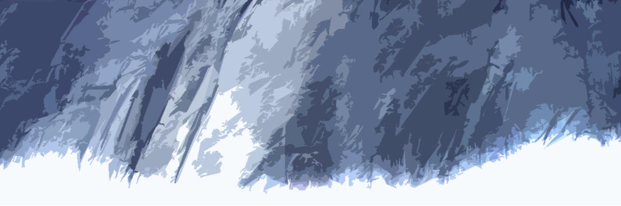 LizardFootwear's profile banner image