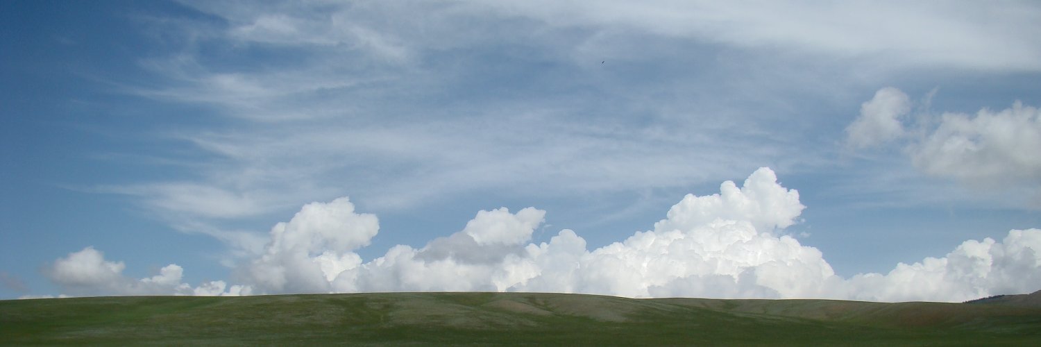 mongoloved's profile banner image