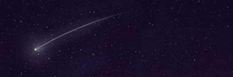 minik__koala's profile banner image