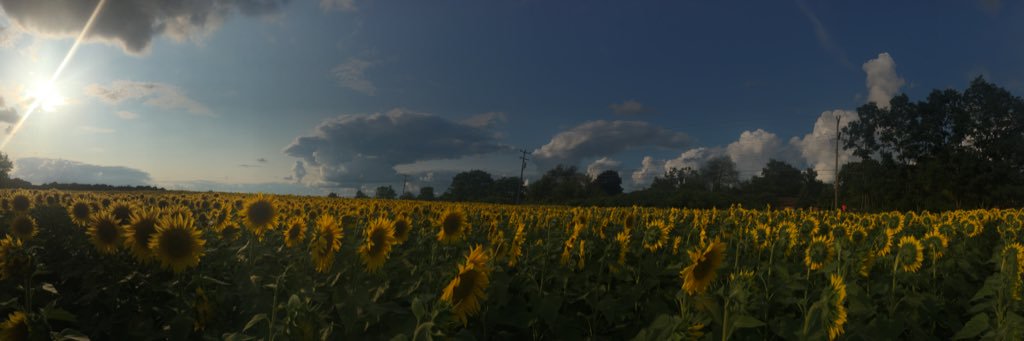 summerjvictory's profile banner image