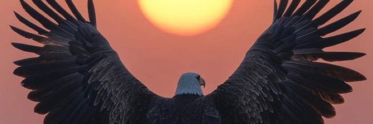 Delonfredel's profile banner image