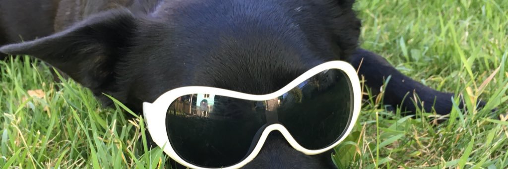tierness's profile banner image