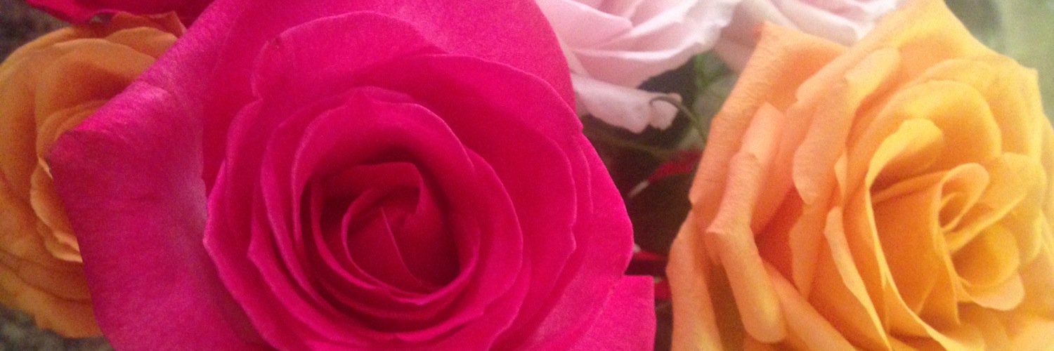 MindyMay7's profile banner image