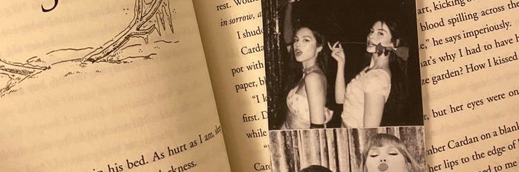 𝐧𝐞𝐫𝐢𝐬𝐬𝐚 ༄ banner