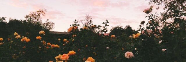 MarahSami's profile banner image