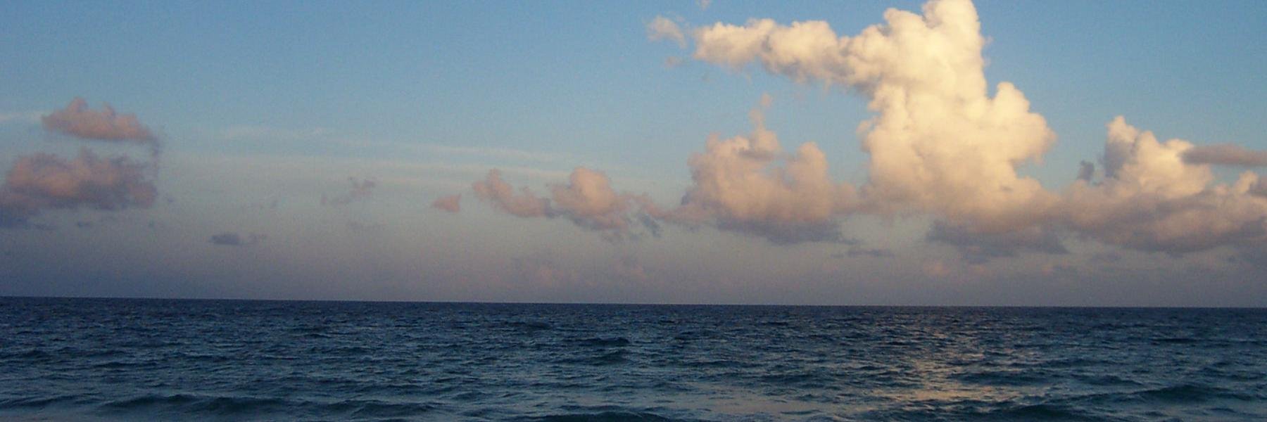 ppockras's profile banner image