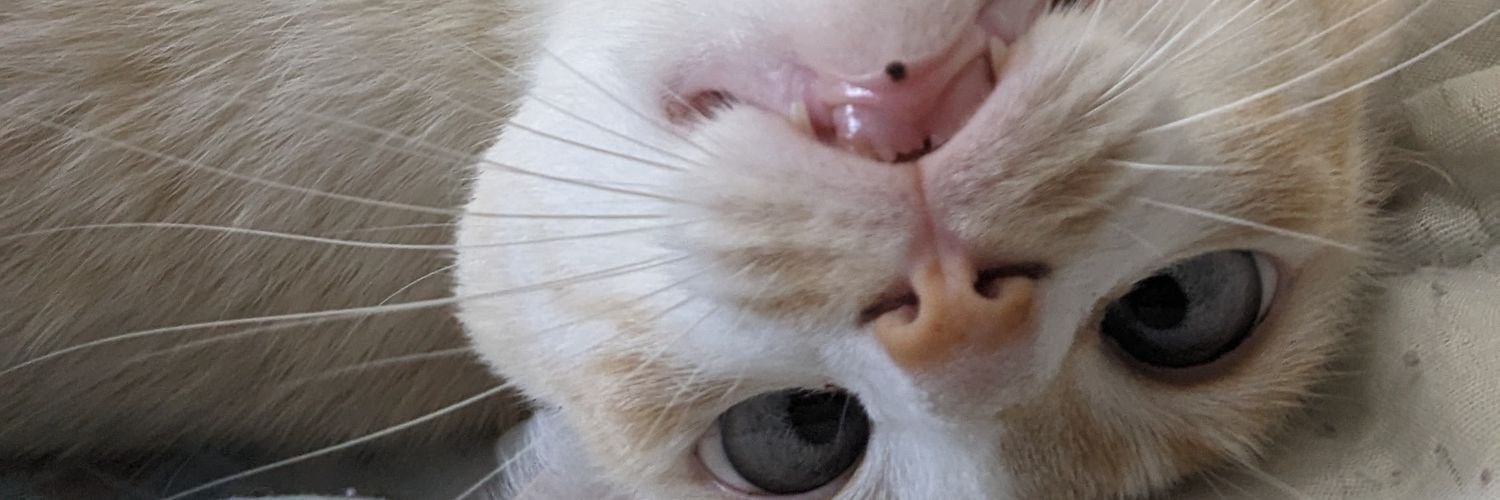 miga_deth's profile banner image