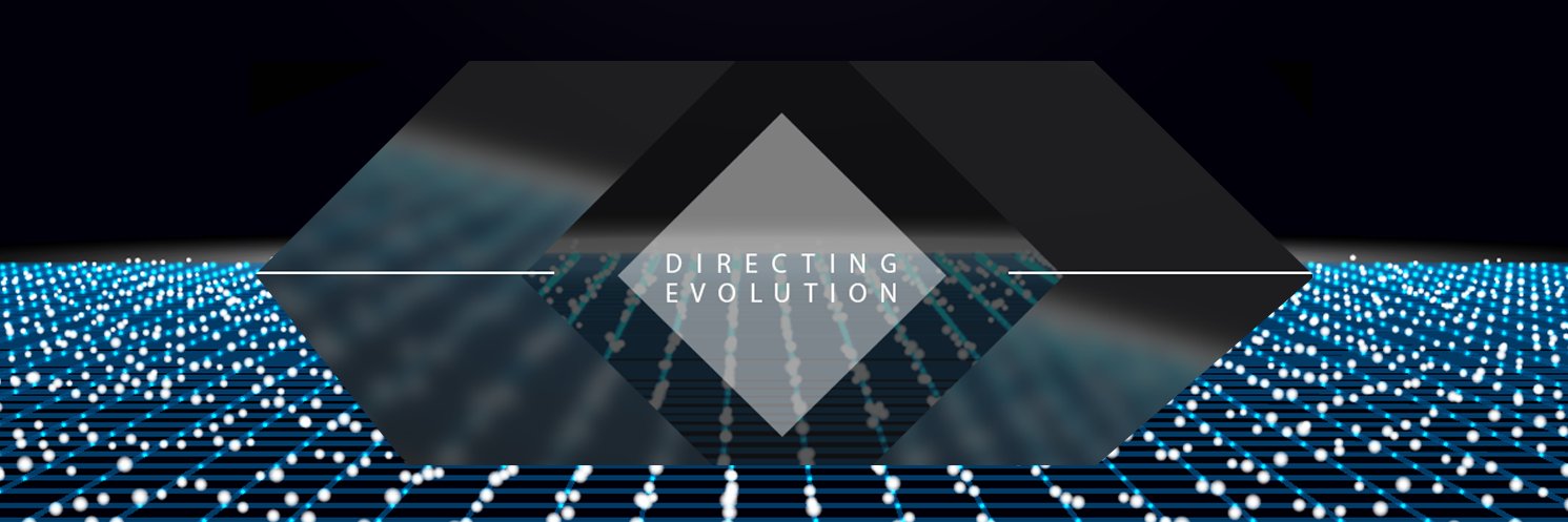 DirectEvolution's profile banner image