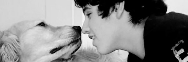 AlexPecoraro17's profile banner image