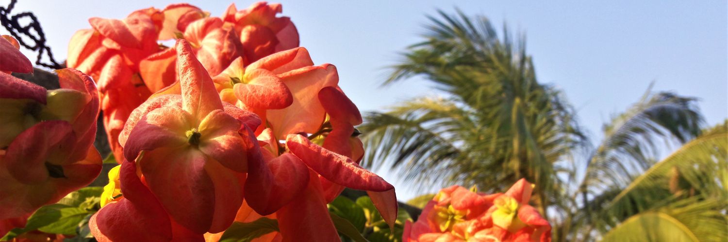IvaniaChamorro's profile banner image