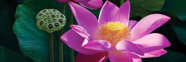 marisel6611's profile banner image