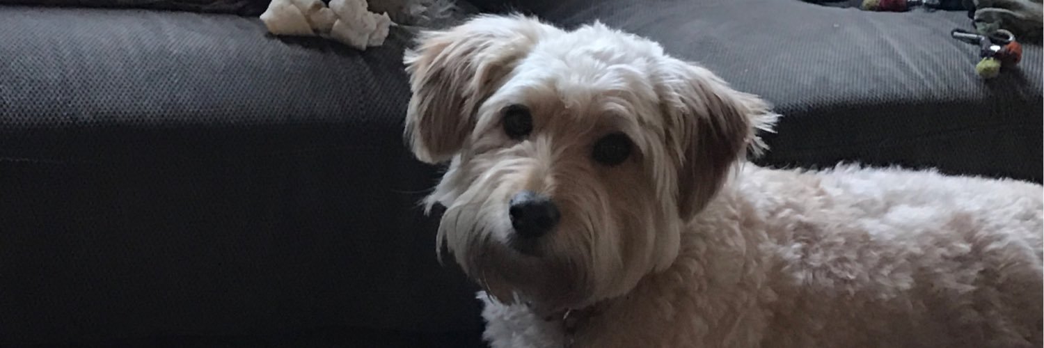 natymano's profile banner image