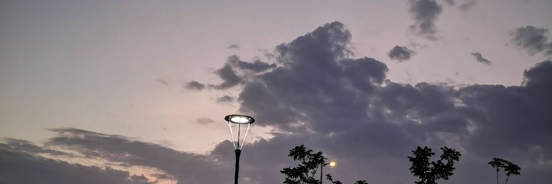 fahdoweed's profile banner image