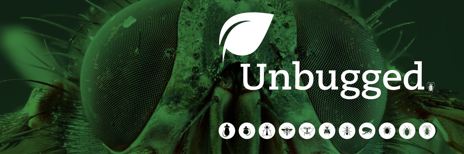 Lcstr_unbugged's profile banner image