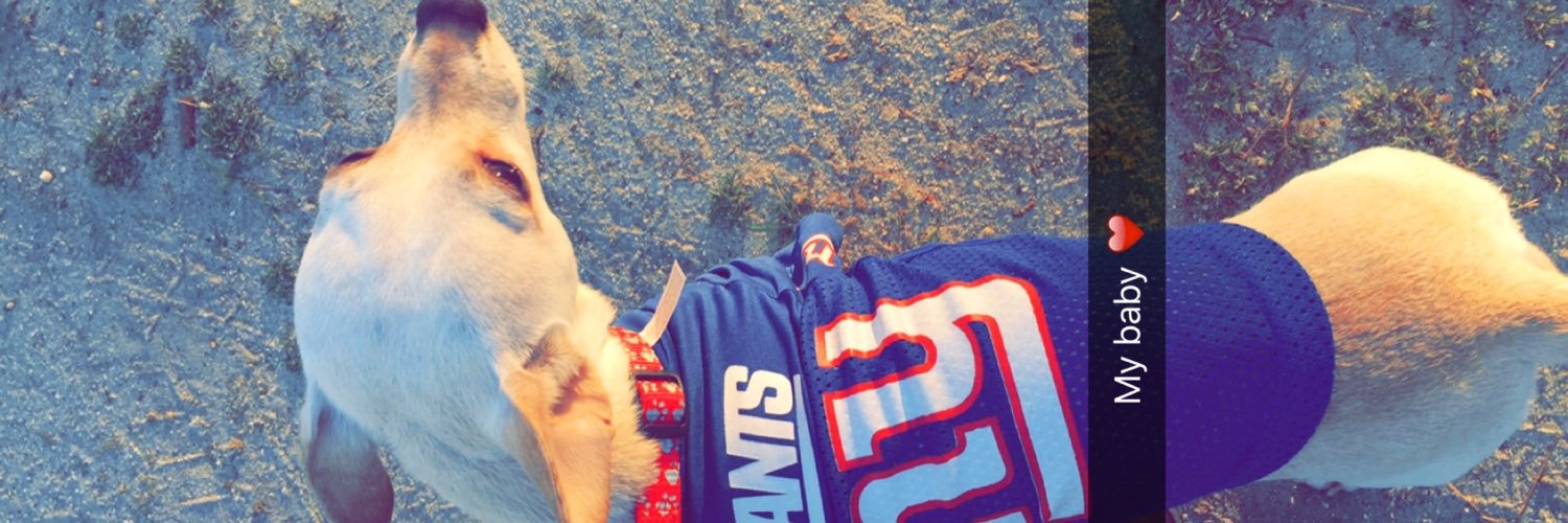 __JAMY_'s profile banner image