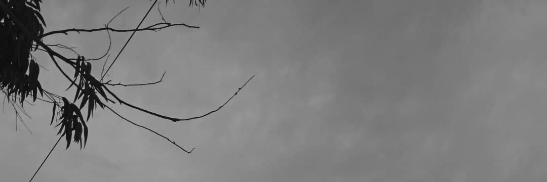 castmann's profile banner image
