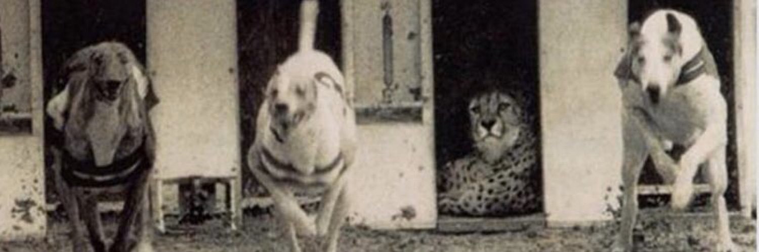 Eskimo G banner