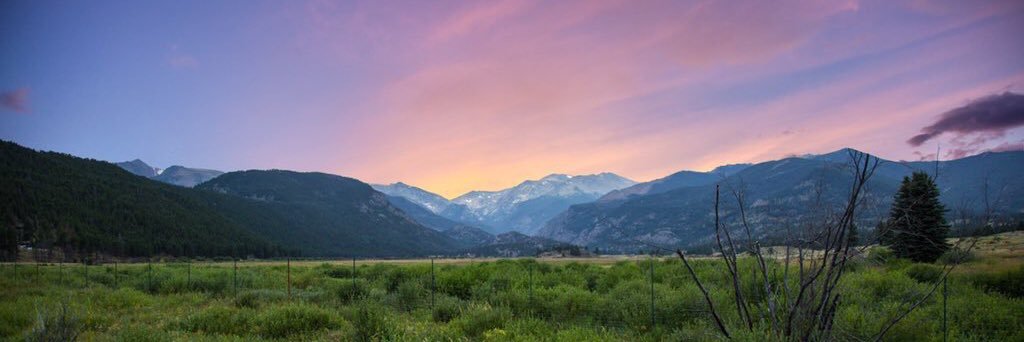 nick_ayoub1's profile banner image