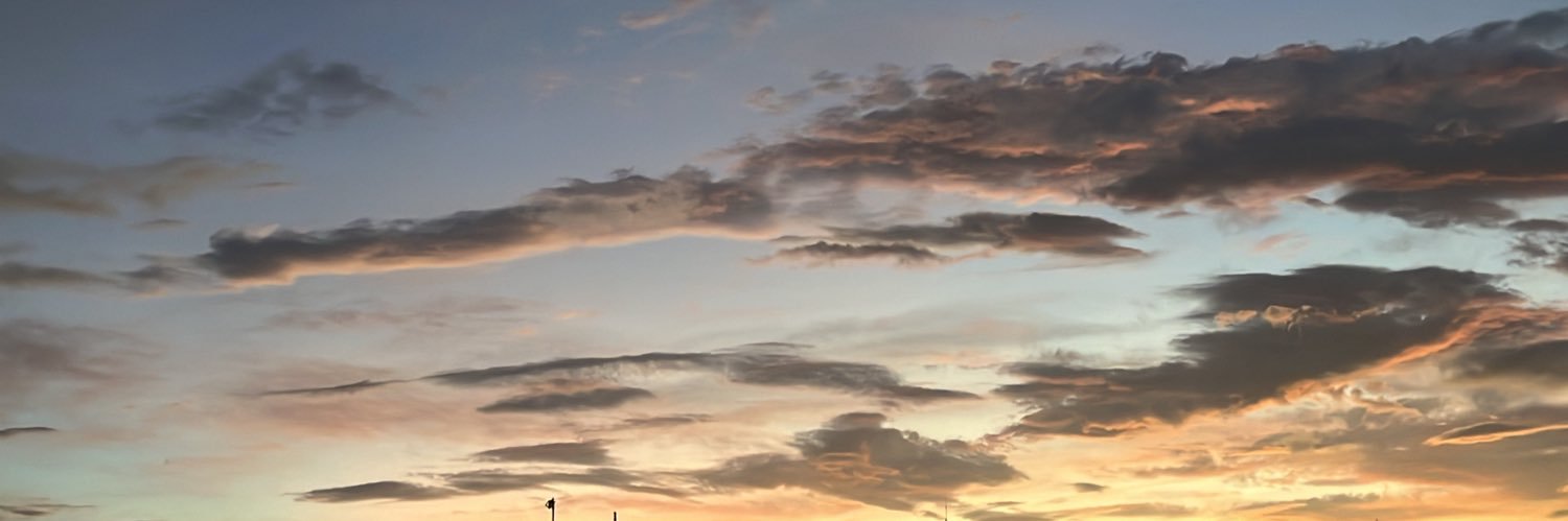 bridgetteviaa's profile banner image