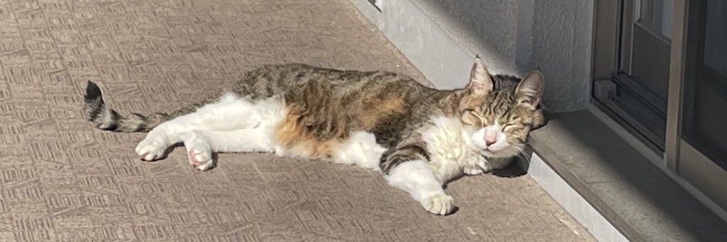 りちうむ(2004.7.5 - 2023.7.4) banner