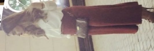 AlibrahimNorah's profile banner image