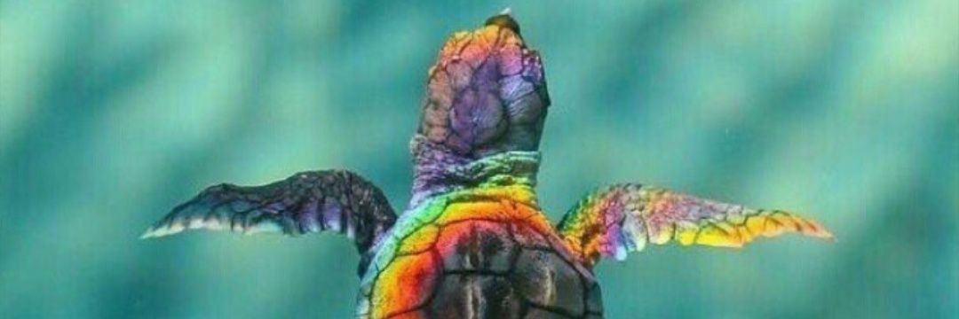 marinapadom's profile banner image