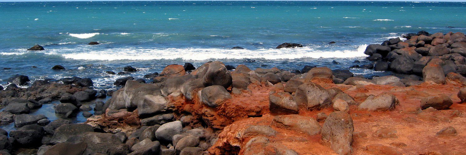 Алинка Пацевич banner