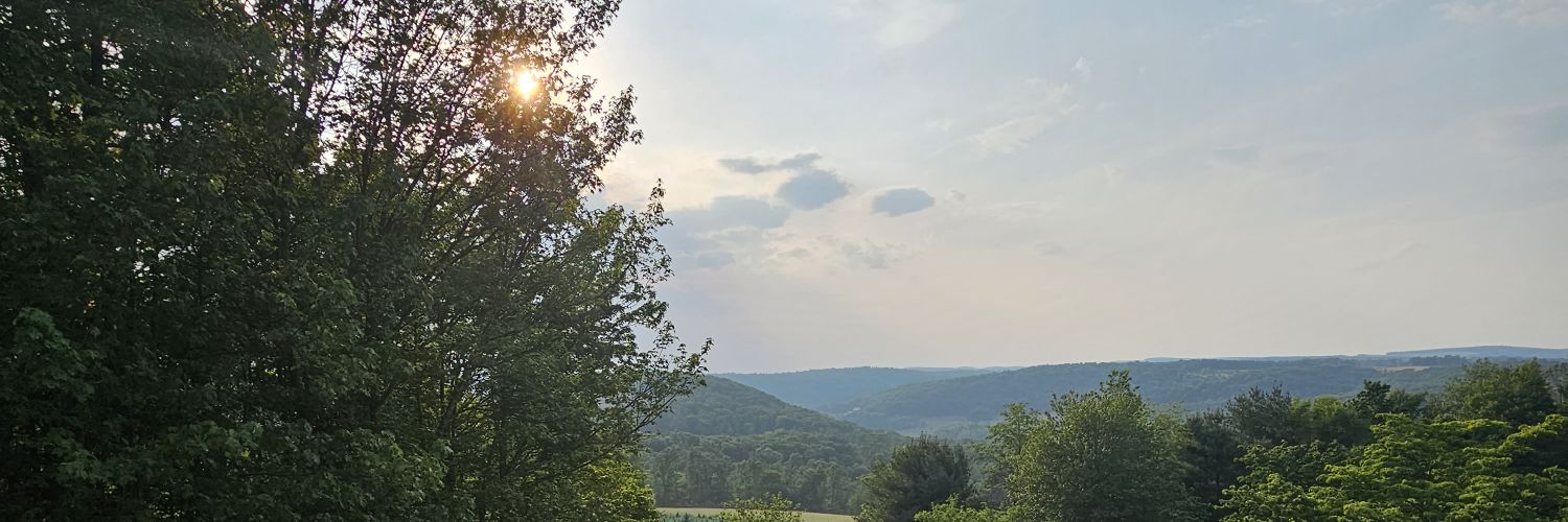 mem0823's profile banner image