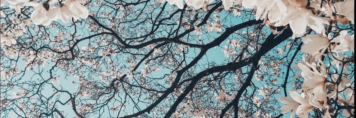 Linagualdron1's profile banner image