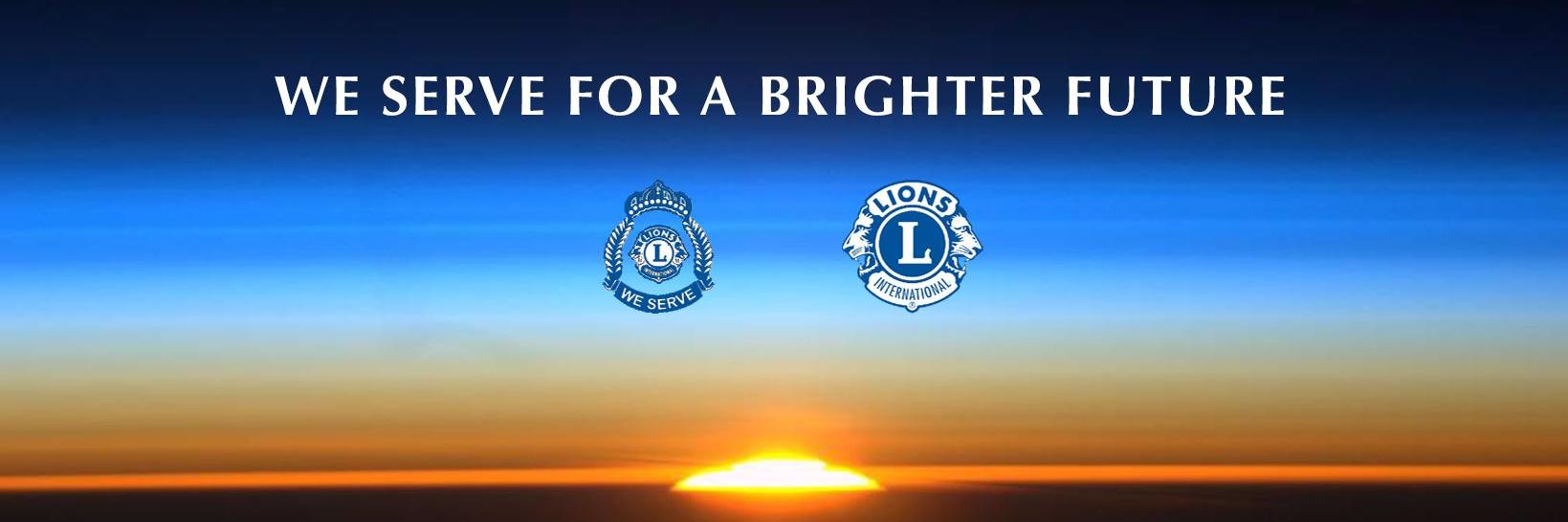 Lions Clubs D411A banner