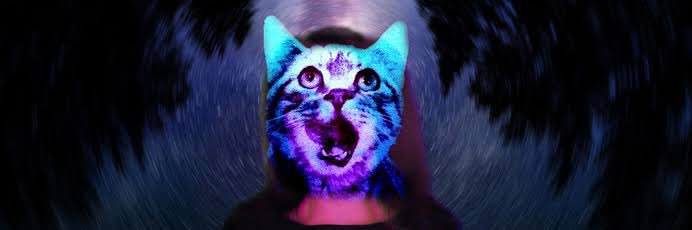 dickykm's profile banner image