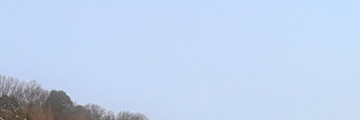 momonopoo's profile banner image