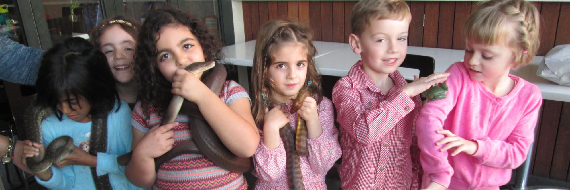 goldcoastsnake's profile banner image